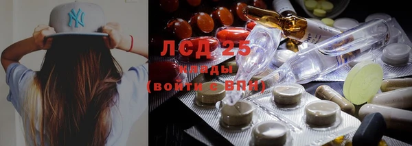 ПСИЛОЦИБИНОВЫЕ ГРИБЫ Бородино