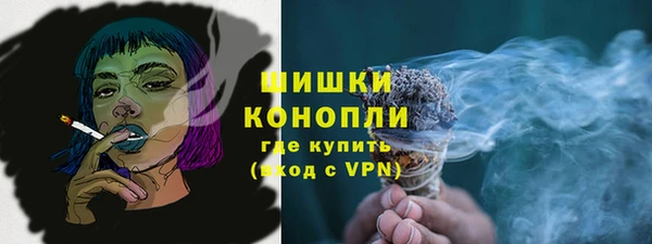 ПСИЛОЦИБИНОВЫЕ ГРИБЫ Бородино