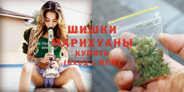 ПСИЛОЦИБИНОВЫЕ ГРИБЫ Бородино