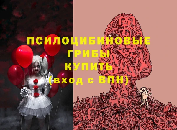 ПСИЛОЦИБИНОВЫЕ ГРИБЫ Бородино